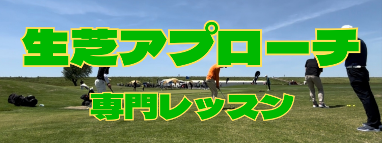 生芝アプローチ専門レッスン